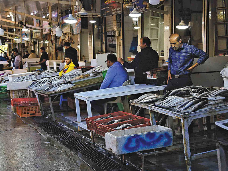 Picture of Bushehr fish market