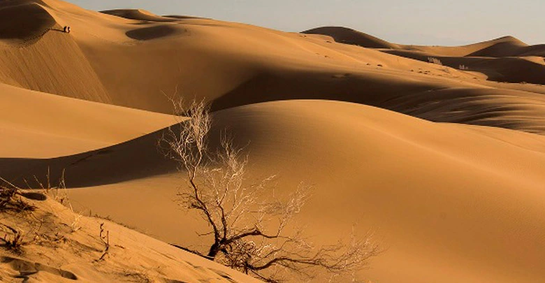 13 1 Abouzeidabad desert