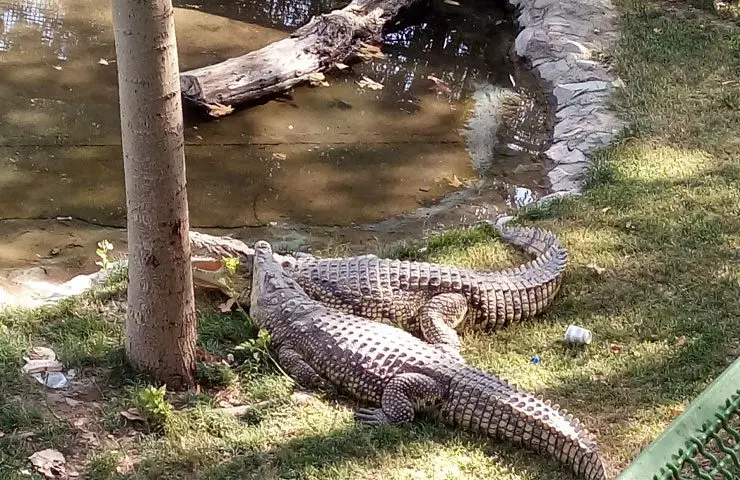 eram tehran park 15