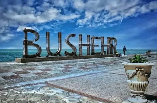 facilities of Bushehr4