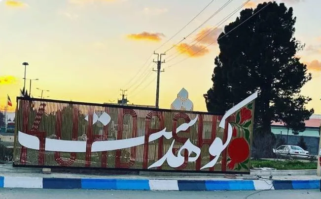 با هواپیما