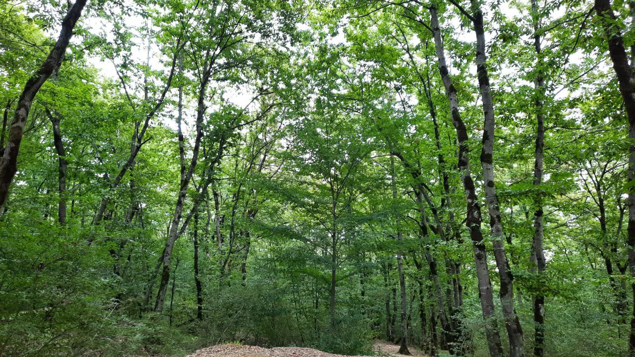 photo 2025 09 08 13 54 19