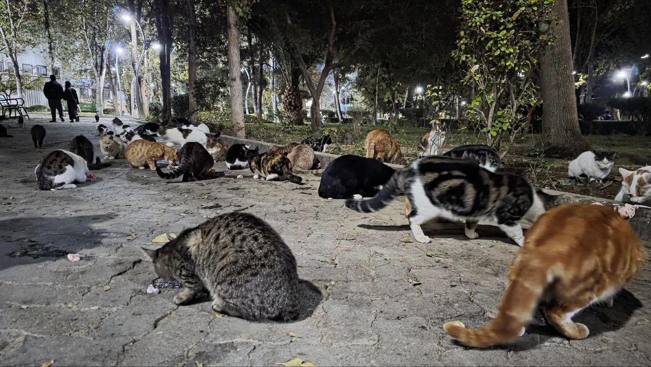 photo 2025 11 15 14 01 25