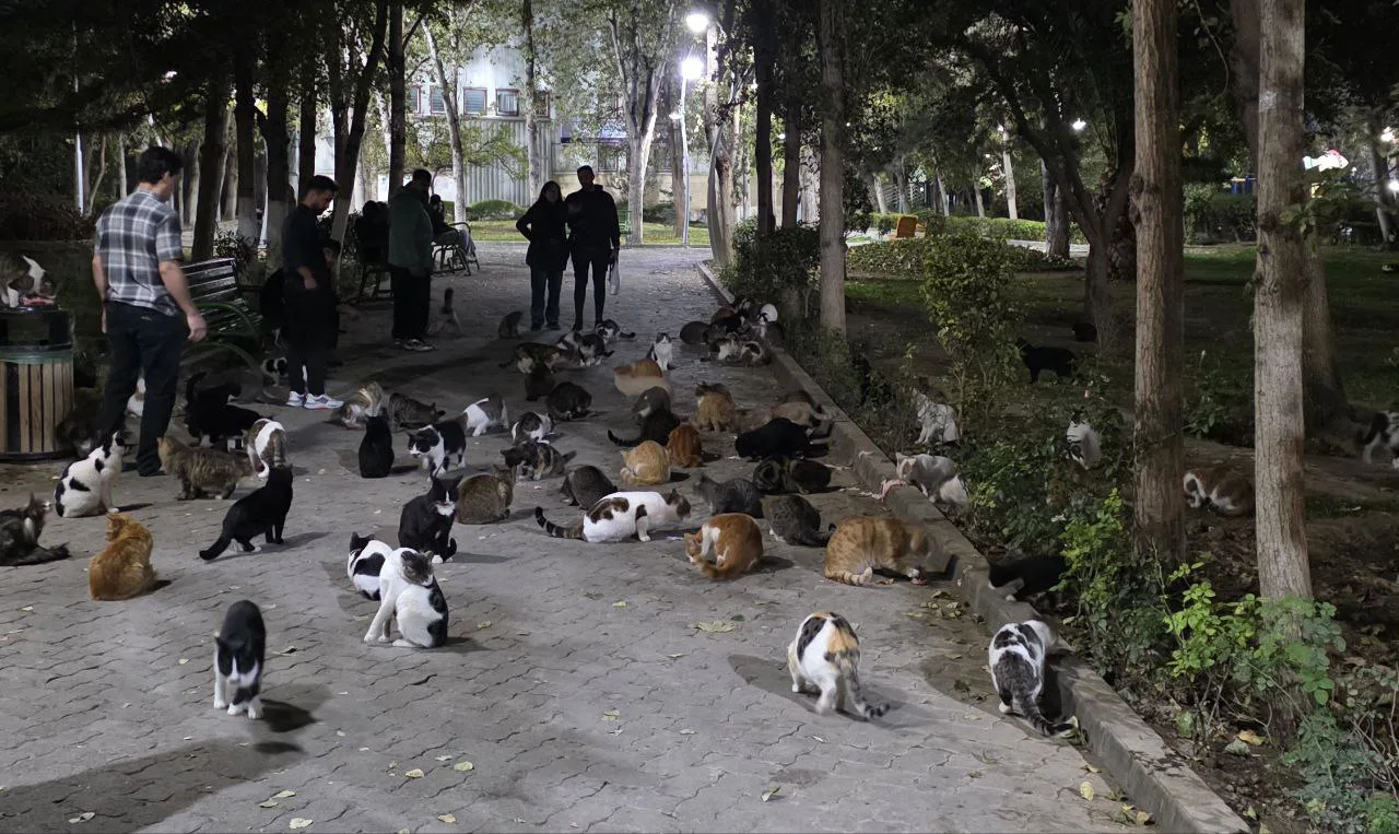 photo 2025 11 15 14 01 32