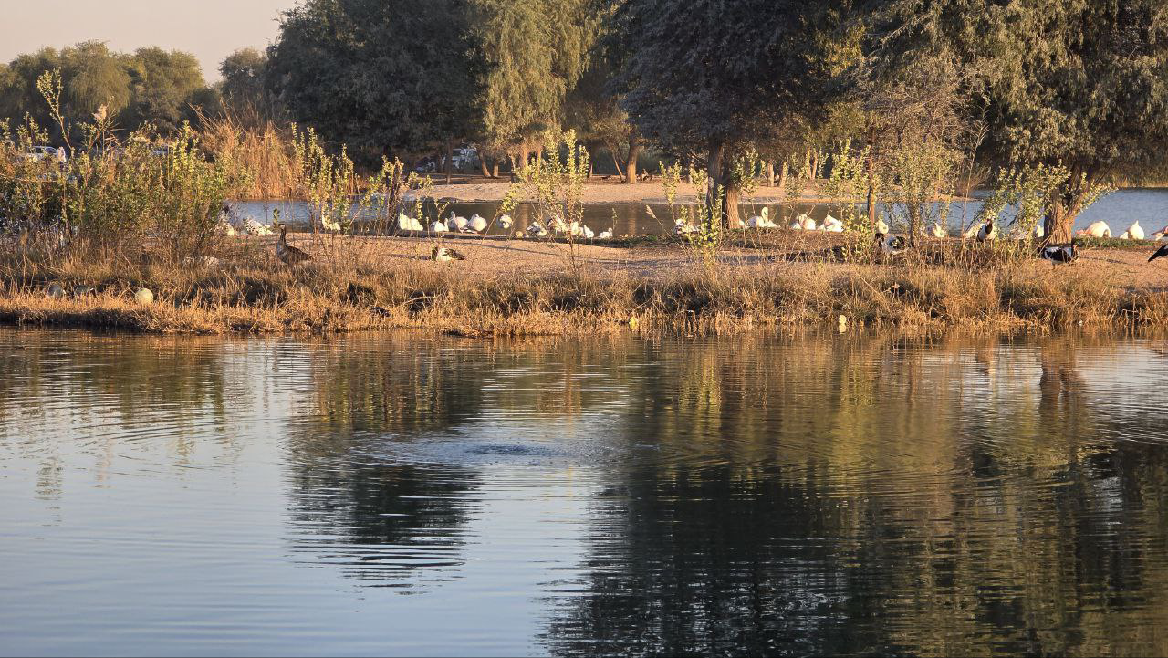 photo 2026 01 02 14 02 26