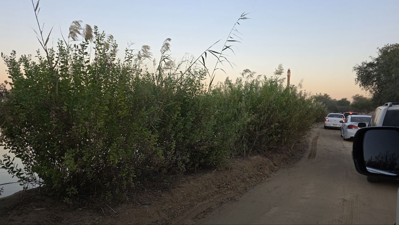 photo 2026 01 02 14 02 33